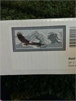 Woodscapes Bald Eagle art kit