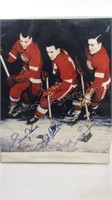 Detroit Red Wings 20 1/2" x 16" framed poster The
