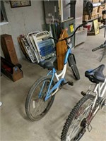 Earth Cruiser Bicycle