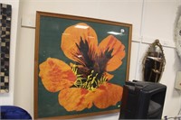 Large picture of orange poppy.