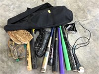 BASE BALL BATS, GLOVES AND BAG
