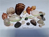 Bag of Seashells