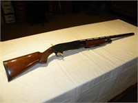 browning bps 10ga