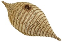 Paiute Basket