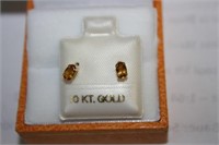 10kt Gold Earrings