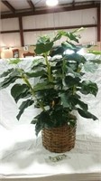 Large artificial plant in wicker basket