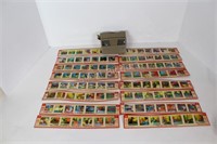 View Master with Colored Vintage Slides