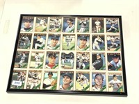 Framed 1988 Detroit Tiger Baseball Cards