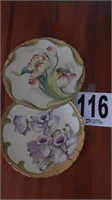 2 HAND-PAINTED BAVARIAN CHINA PLATES 9 IN