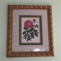 Framed Rose Print