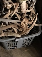 Basket Full of Deer Antlers