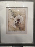 "Silent Beauties" Framed Print by Jordan