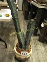 LARGE CACTUS IN INDIAN POTTERY