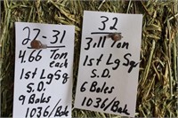 Hay-Lg. Squares-1st-6 Bales