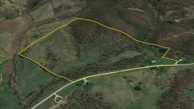 78 Acres Pasture/ Hunting Monroe County Land Auction