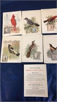 19 vintage Audubon bird plates
