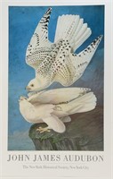 Audubon Exhibition Poster Gryfalcon