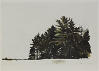 Andrew Wyeth: St. Georges Pines