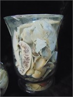 Sea Shells In Jars