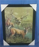 New 4D picture of deer 13x17H