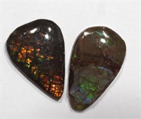 35M- Pair of Canadian Ammolite gemstones