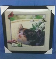 New 4D picture of kitten 17x17H