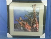New 4D picture of giraffes 17x17H