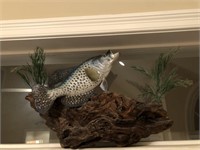 Driftwood piece with crappie