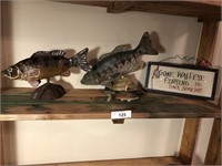 4 pcs lake décor fish and frames