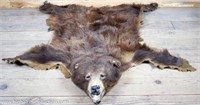 Vintage Taxidermy Brown Bear Rug