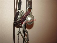 Silver Bit, Silver Head Stall, Reins and Romal