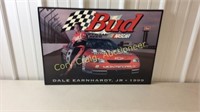 Dale Earnhardt Jr. 1999 racing picture
