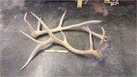 Pair of Elk Sheds