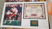 REDSKIN POSTER FRAMED