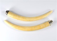 PAIR OF IVORY TUSKS WITH METAL MOUNTS