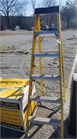 6 foot step ladder