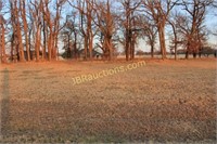 PRIME LOTS IN THE COVES , GRAND LAKE