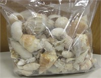 Large Bag Of Seashells