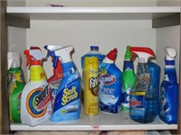 Shelf of Assorted Cleaning Supplies