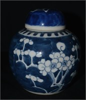 Chinese Kangxi Period Prunus Bloss Ginger Jar