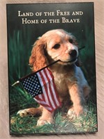 Puppy & Flag Picture
