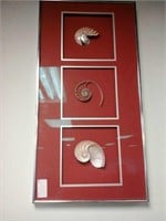 Shell wall art