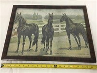 Vintage framed horse picture.