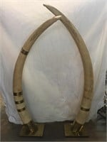 Pair of Ivory Tusk (TX Residents Only)