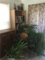 (6) PLANTS, SHELF, BOOK AND CHAIR
