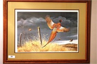 Framed Pheasant print by Maynard Reece