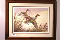 Framed Duck print by Bernard Martin