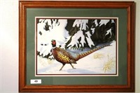 Framed Pheasant print by Jack Hahn