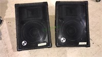 Pair of PA S stage speakers model T1222, the face