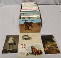 Lot of Approximately 400+ Animal Related Postcards